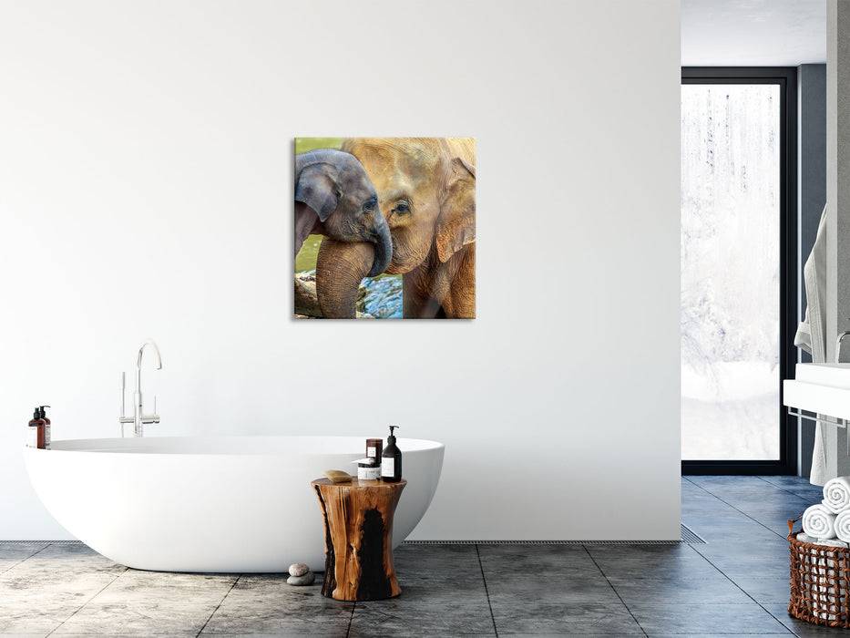 Pixxprint Elefantenmutter mit Kalb, Glasbild Quadratisch Online