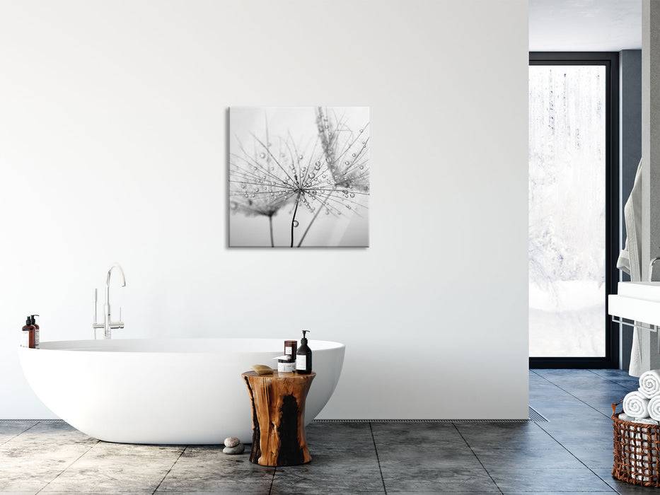 Pixxprint Pusteblume bedeckt mit Tropfen, Glasbild Quadratisch Auslauf
