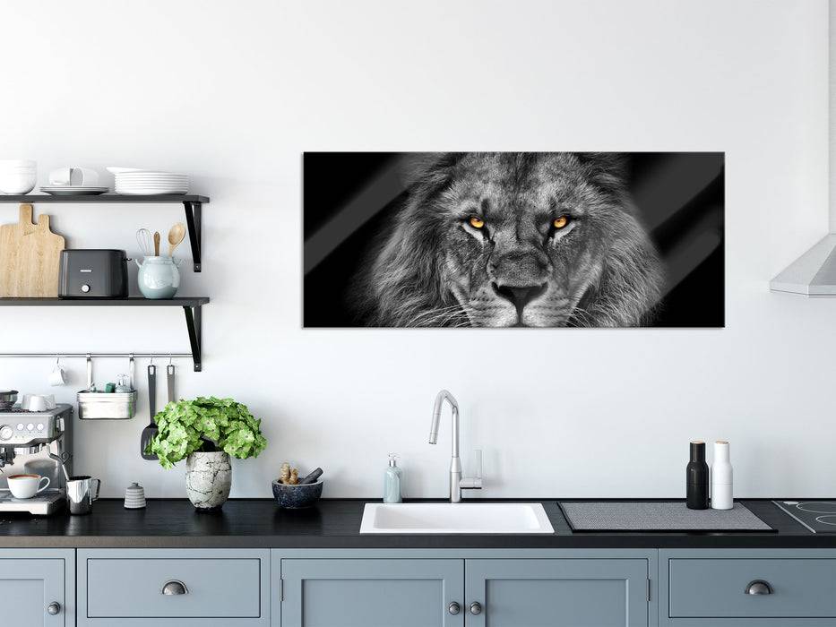 Pixxprint Mächtiger Löwe mit gelben Augen B&W Detail, Glasbild Panorama Schlussverkauf