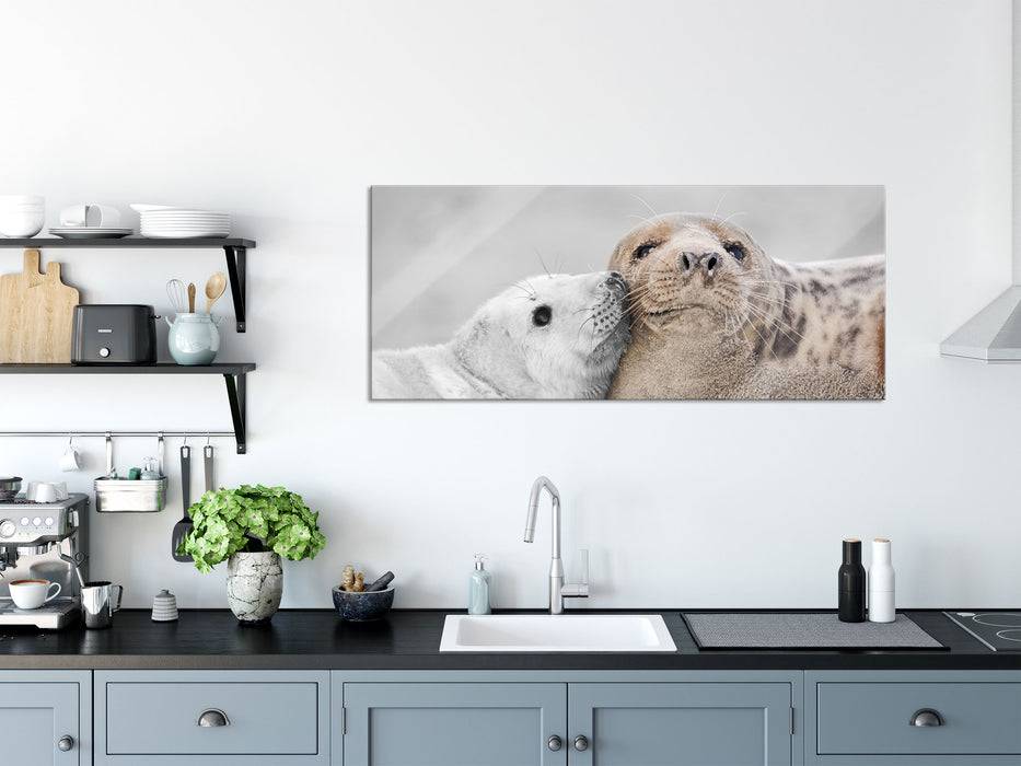 Pixxprint süße Robben schmusen, Glasbild Panorama Limitierter Zeitrabatt