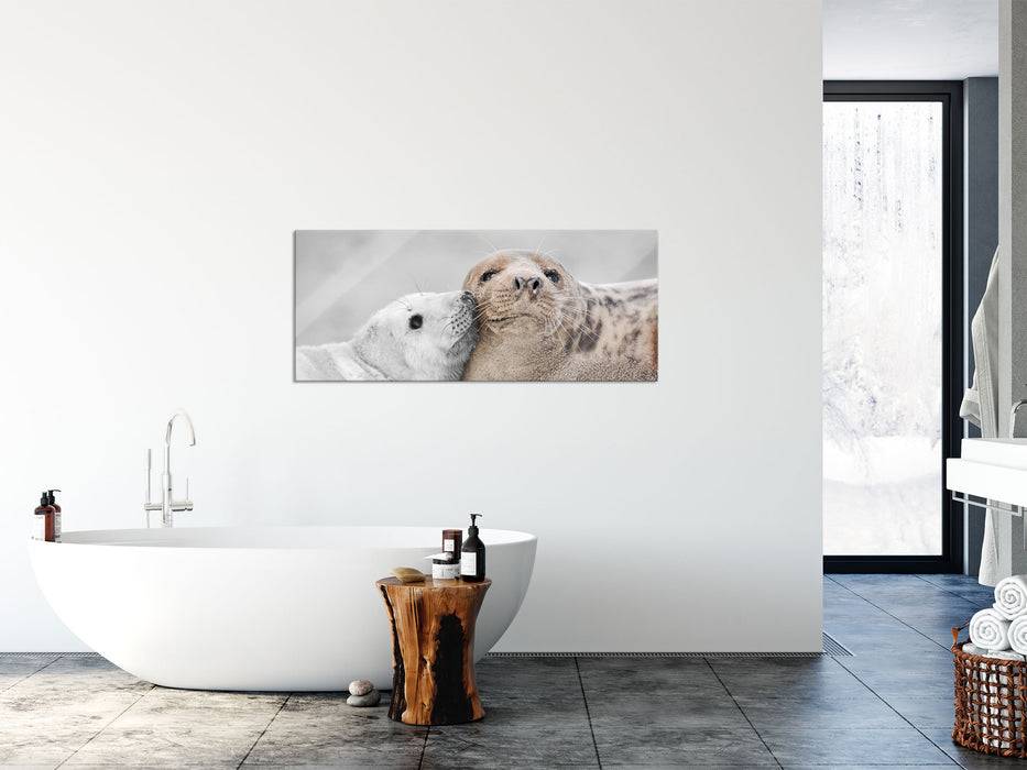 Pixxprint süße Robben schmusen, Glasbild Panorama Limitierter Zeitrabatt