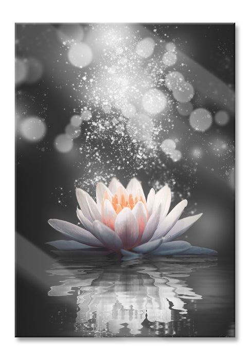 Pixxprint Magische Lotusblüte mit Glitzerstaub B&W Detail, Glasbild