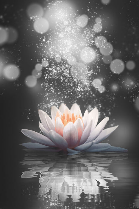 Pixxprint Magische Lotusblüte mit Glitzerstaub B&W Detail, Glasbild Begrenztes Angebot