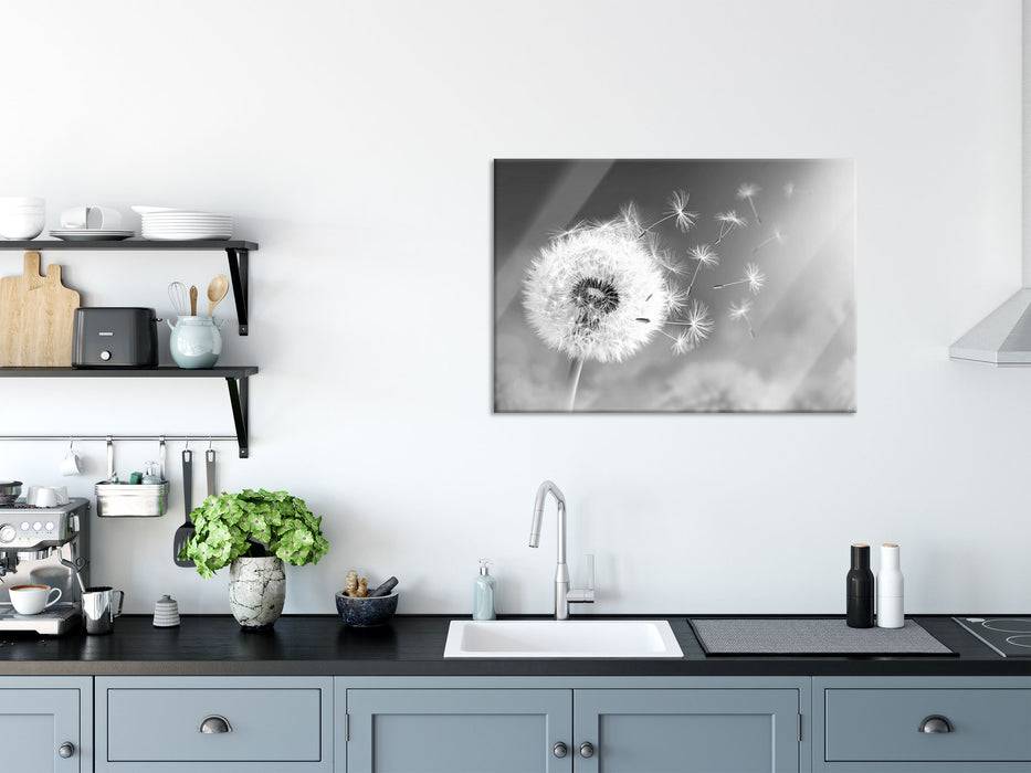Pixxprint Löwenzahn Samen Kunst B&W, Glasbild Online Shopping