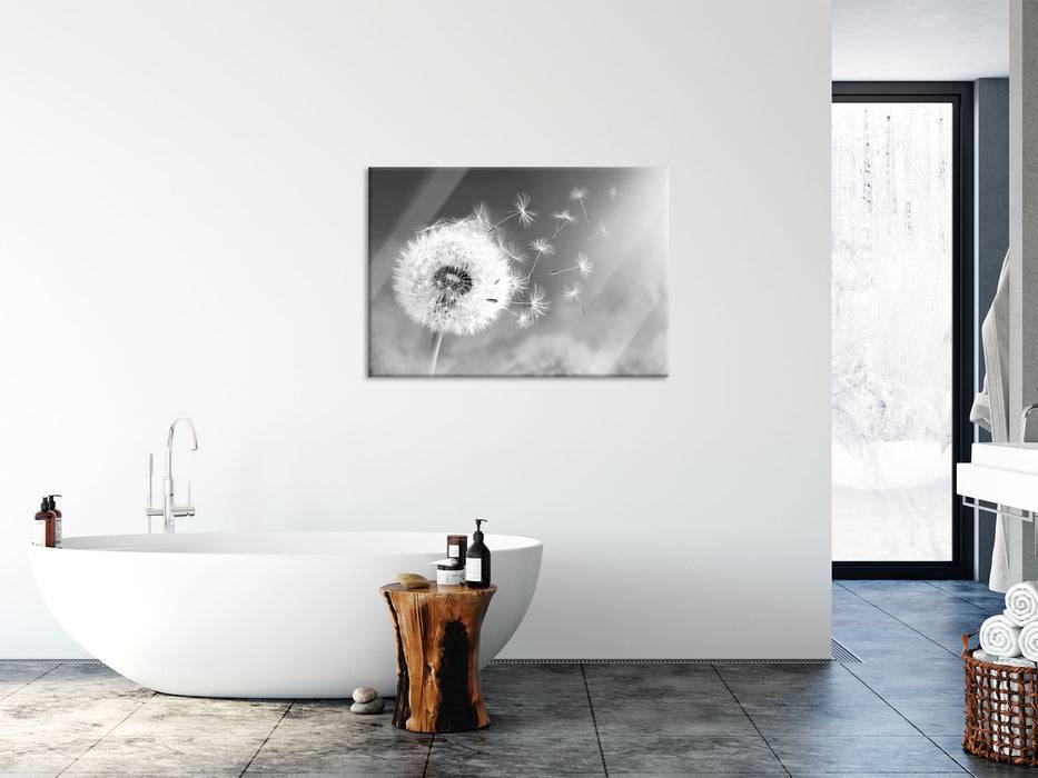 Pixxprint Löwenzahn Samen Kunst B&W, Glasbild Online Shopping