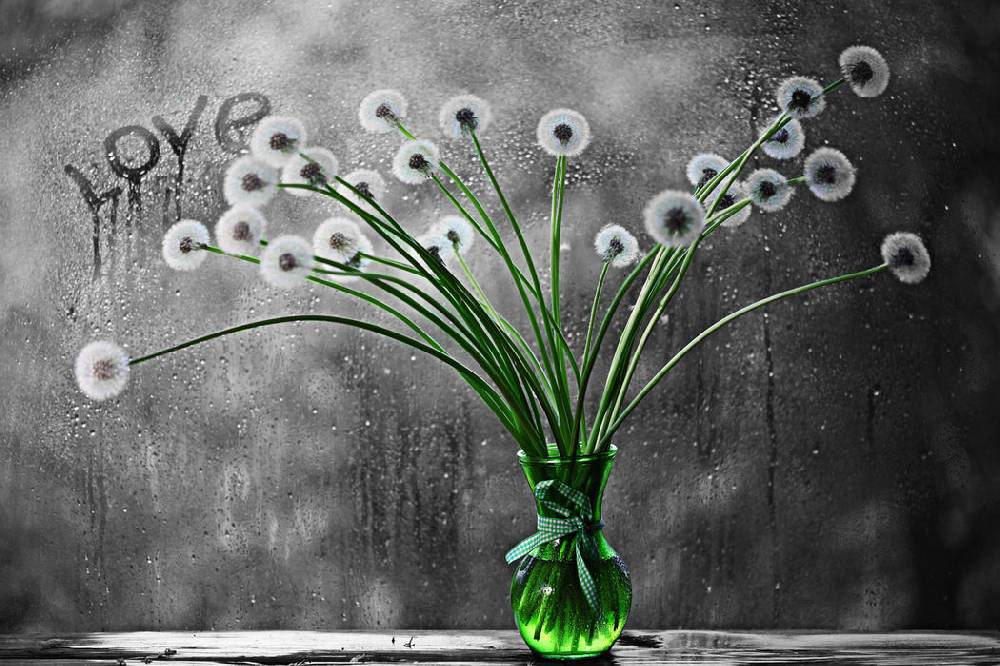 Pixxprint Pusteblumen bei Regen, Glasbild Exklusivangebot