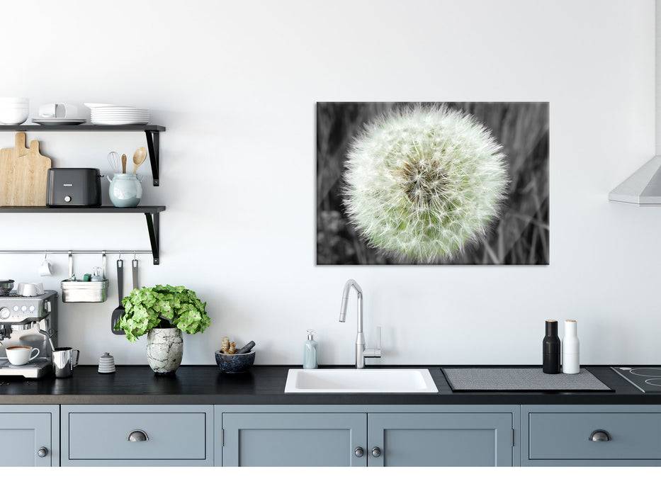 Pixxprint klassische zarte Pusteblume, Glasbild Preisnachlass
