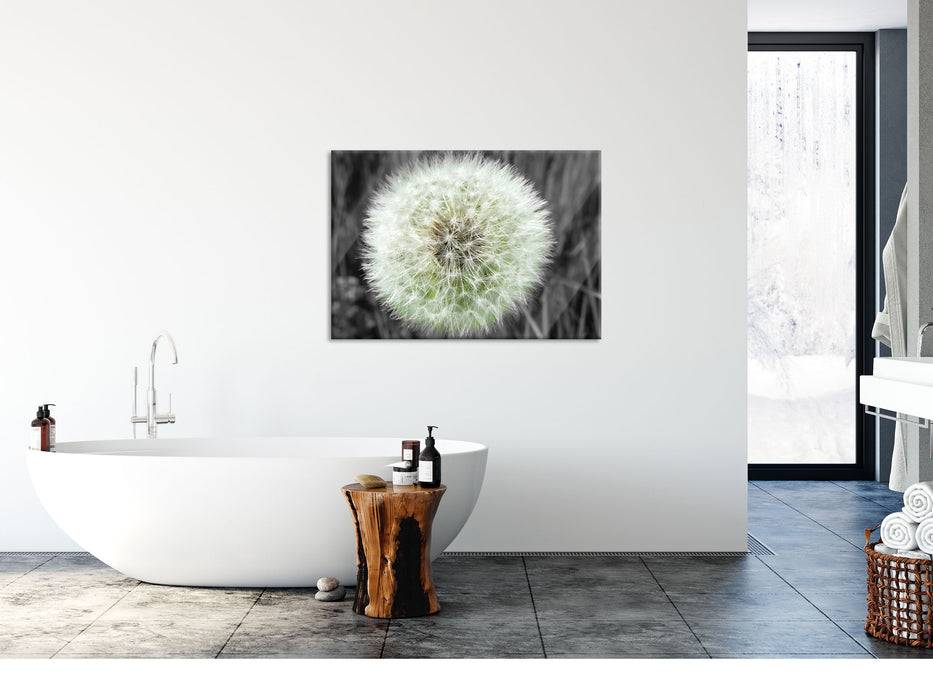 Pixxprint klassische zarte Pusteblume, Glasbild Preisnachlass