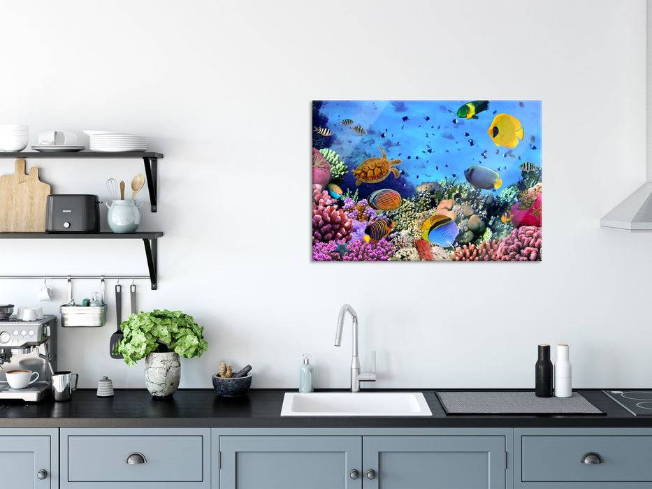 Pixxprint Fische über Korallenriff, Glasbild Cyber Monday