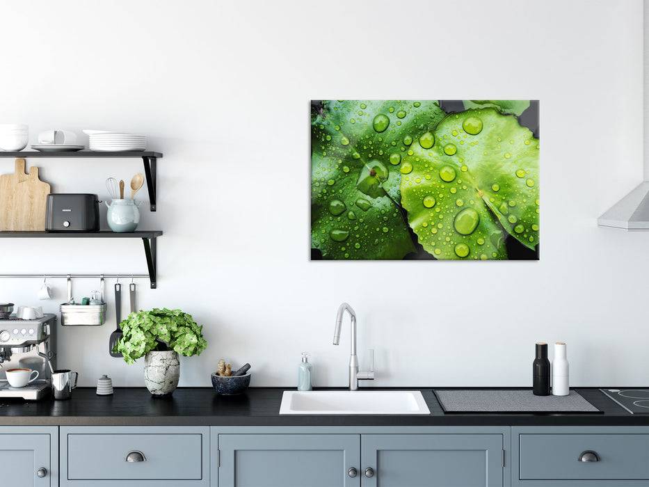 Pixxprint die Blätter mit den Wassertropfen, Glasbild Vatertagsangebot