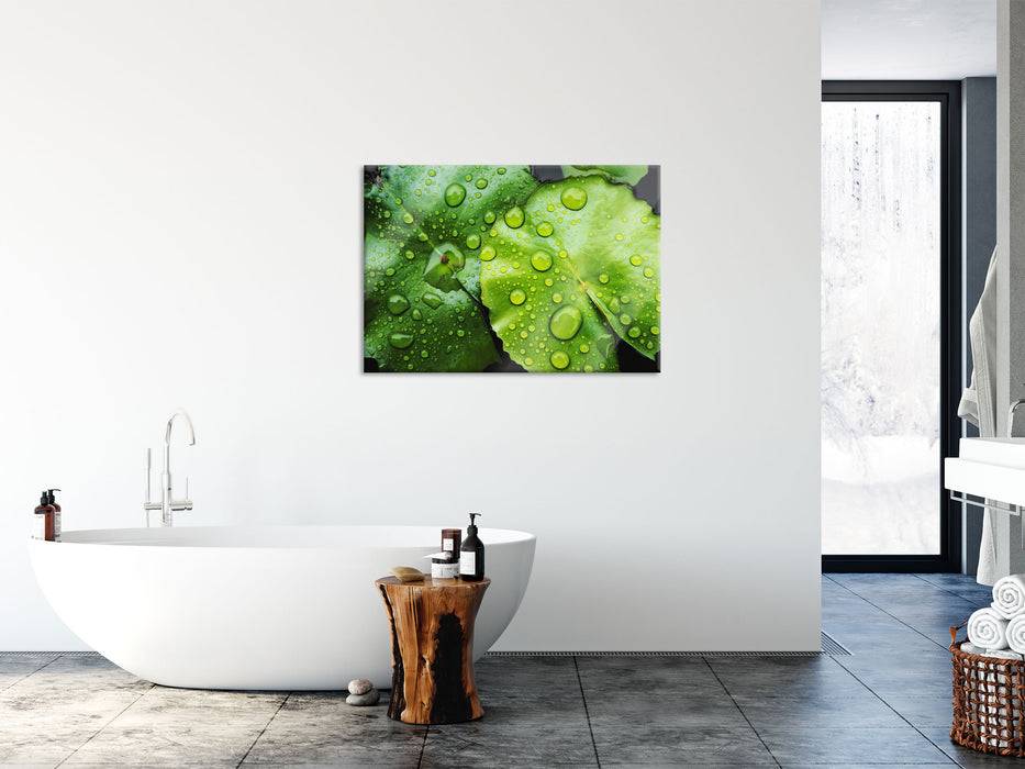 Pixxprint die Blätter mit den Wassertropfen, Glasbild Vatertagsangebot