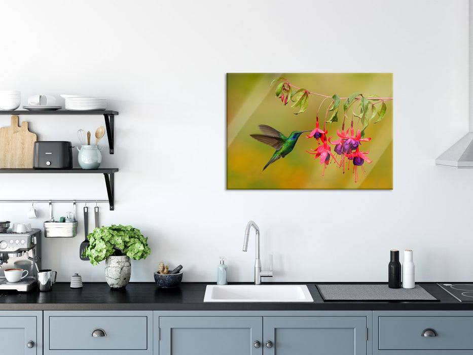 Pixxprint Kolibri trinkt vom Blütennektar, Glasbild Jubiläumsangebot