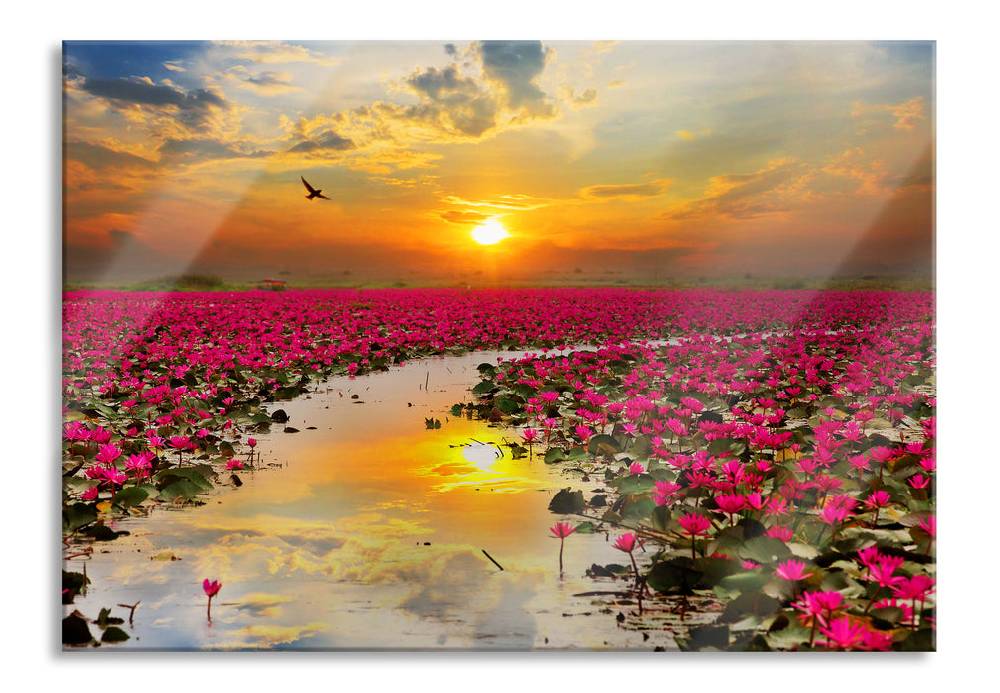 Pixxprint Lotusblüten am See, Glasbild