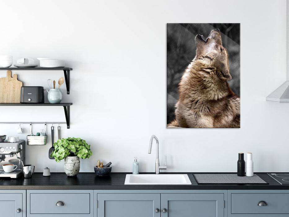 Pixxprint Anmutiger Heulender Wolf, Glasbild Top Angebot