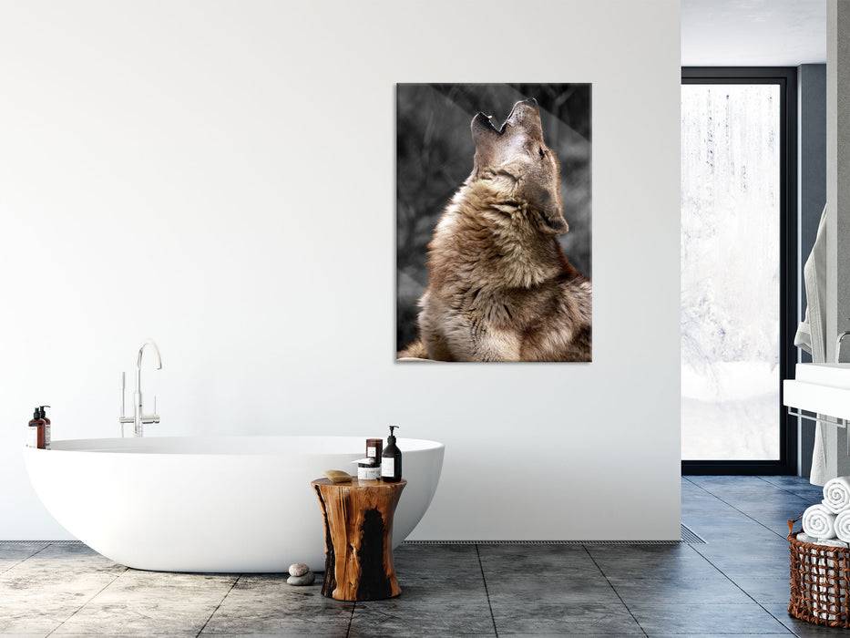 Pixxprint Anmutiger Heulender Wolf, Glasbild Top Angebot