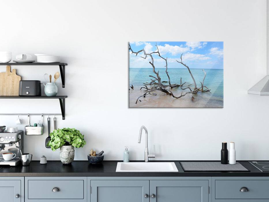 Pixxprint Strand mit Treibholz in Kuba, Glasbild Riesige Ersparnisse