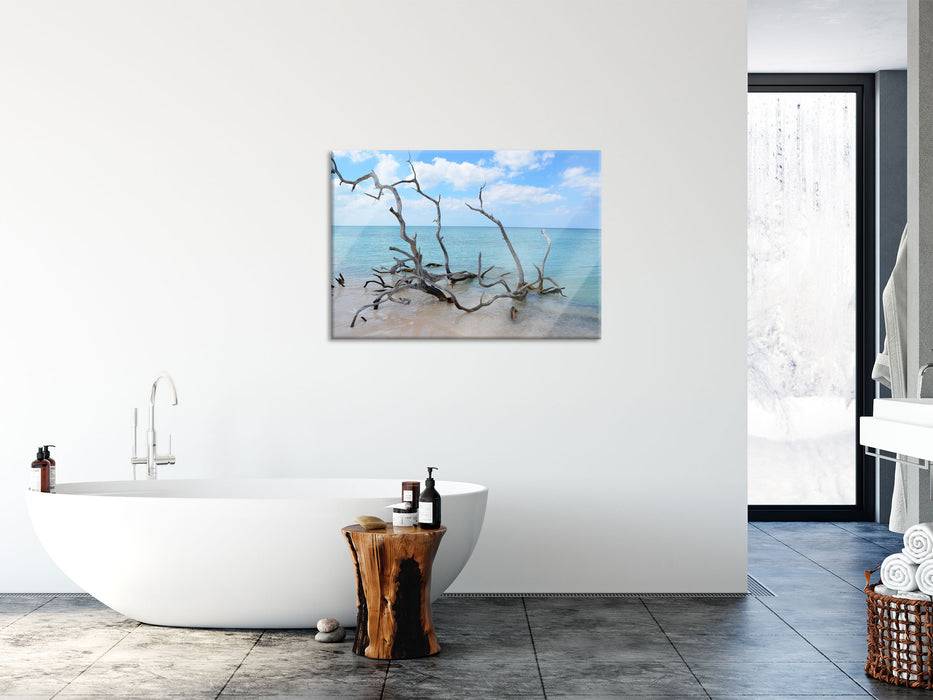 Pixxprint Strand mit Treibholz in Kuba, Glasbild Riesige Ersparnisse
