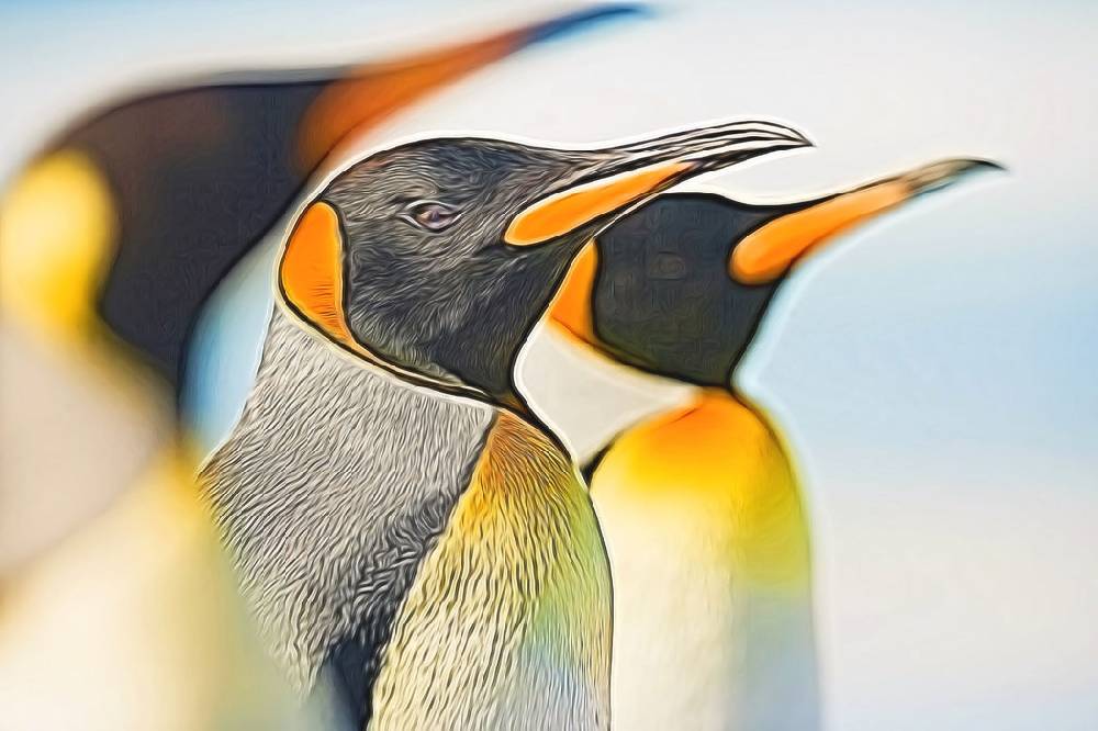 Pixxprint Majestätisch Kaiserpinguine, Glasbild Tiefpreis