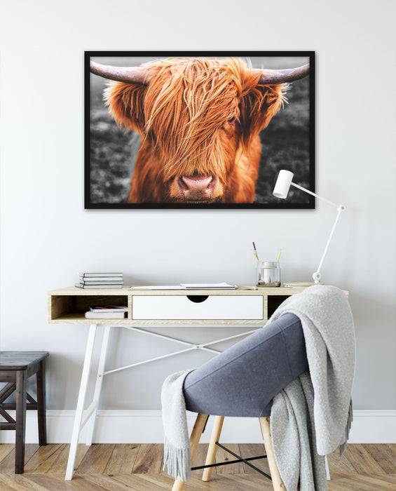 Pixxprint Nahaufnahme schottisches Highlandrind B&W Detail, Poster mit Bilderrahmen Neueste Stile