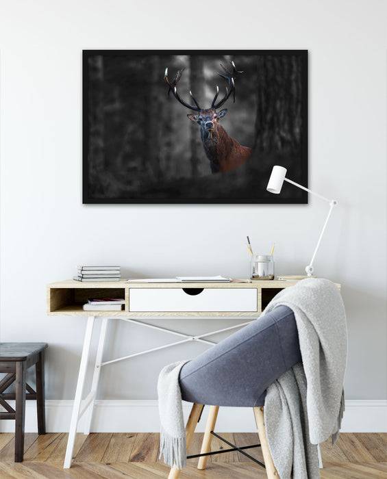Pixxprint Hirsch im Wald schaut neugierig in die Kamera B&W Detail, Poster mit Bilderrahmen Bis zu 50% Rabatt