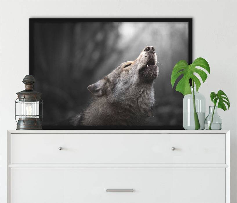 Pixxprint Heulender Wolf Nahaufnahme B&W Detail, Poster mit Bilderrahmen Bis zu 60% Rabatt