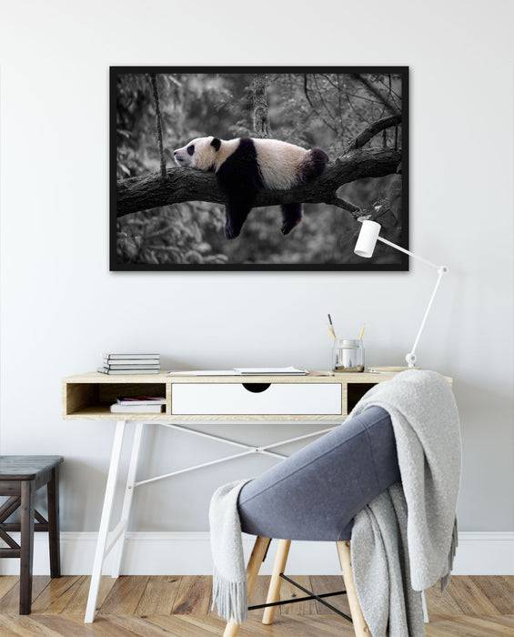 Pixxprint Schlafender Panda auf Baumstamm B&W Detail, Poster mit Bilderrahmen Bis zu 65% Rabatt
