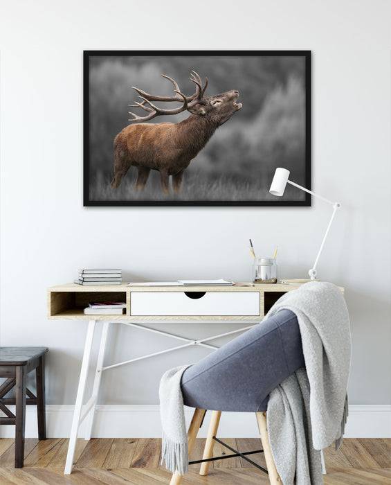 Pixxprint Röhrender Hirsch mit mächtigem Geweih B&W Detail, Poster mit Bilderrahmen Nur für heute
