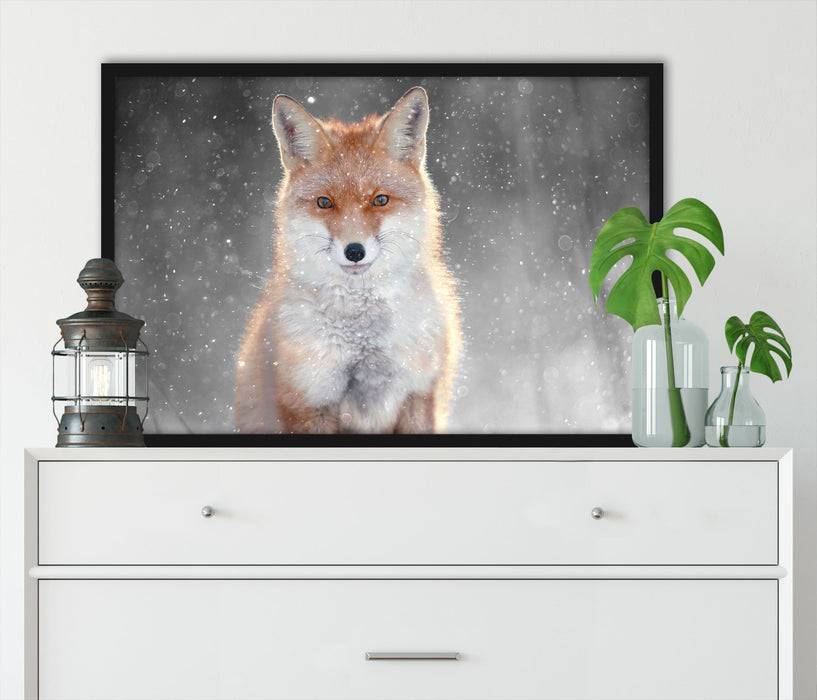 Pixxprint Roter Fuchs im Winter B&W Detail, Poster mit Bilderrahmen Vierteljährliche Förderung