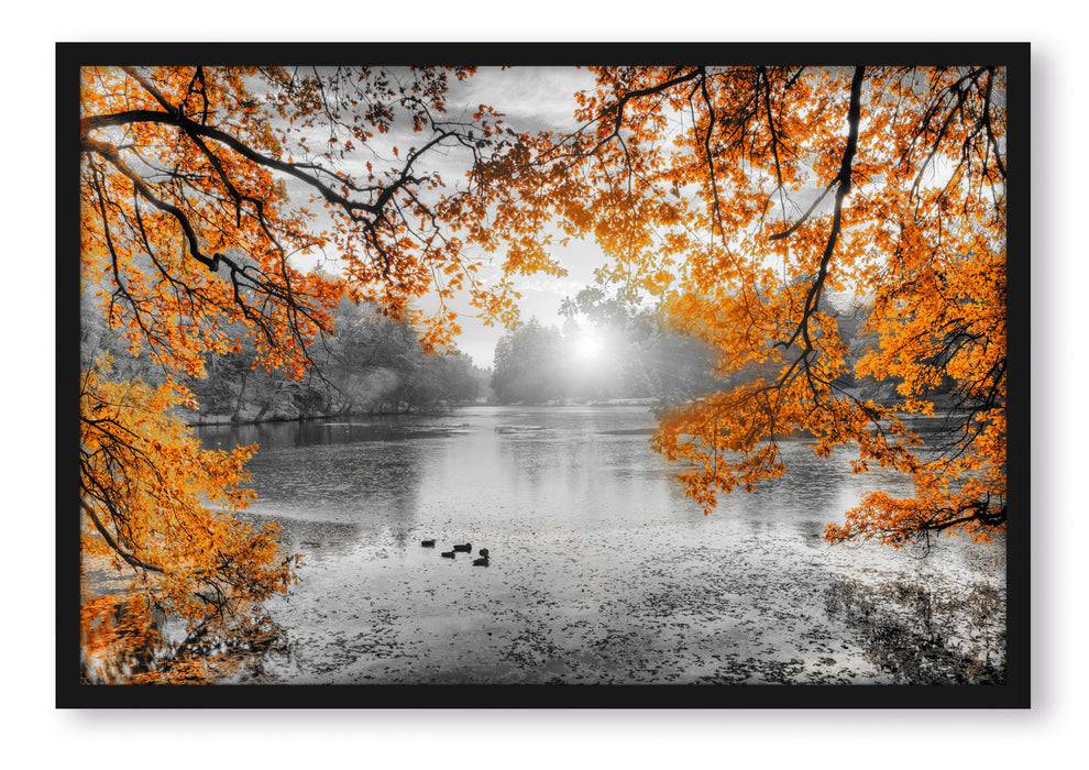 Pixxprint Herbstbäume um See bei Sonnenuntergang B&W Detail, Poster mit Bilderrahmen