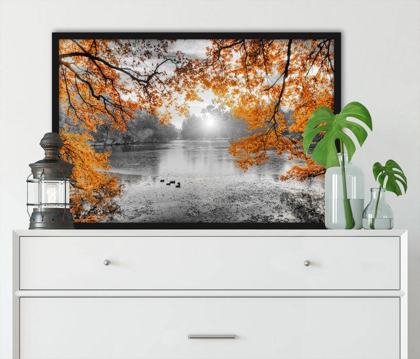 Pixxprint Herbstbäume um See bei Sonnenuntergang B&W Detail, Poster mit Bilderrahmen Bis zu 55% Rabatt