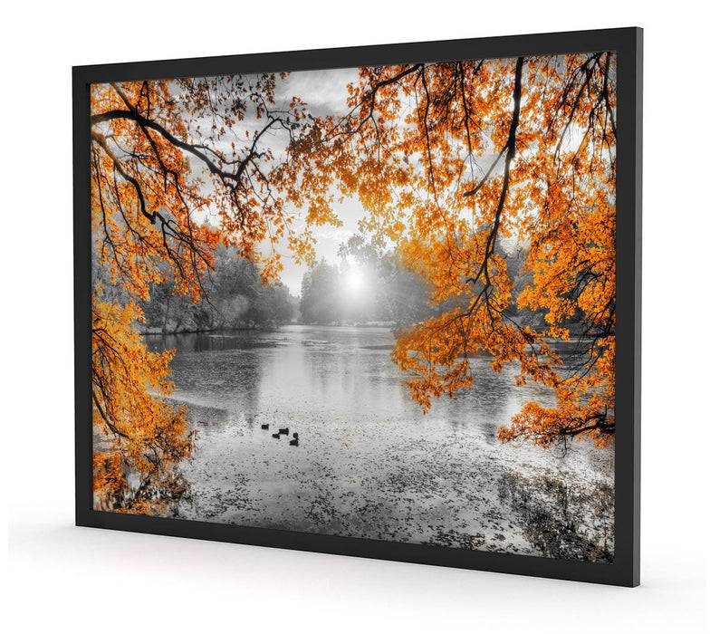 Pixxprint Herbstbäume um See bei Sonnenuntergang B&W Detail, Poster mit Bilderrahmen Bis zu 55% Rabatt