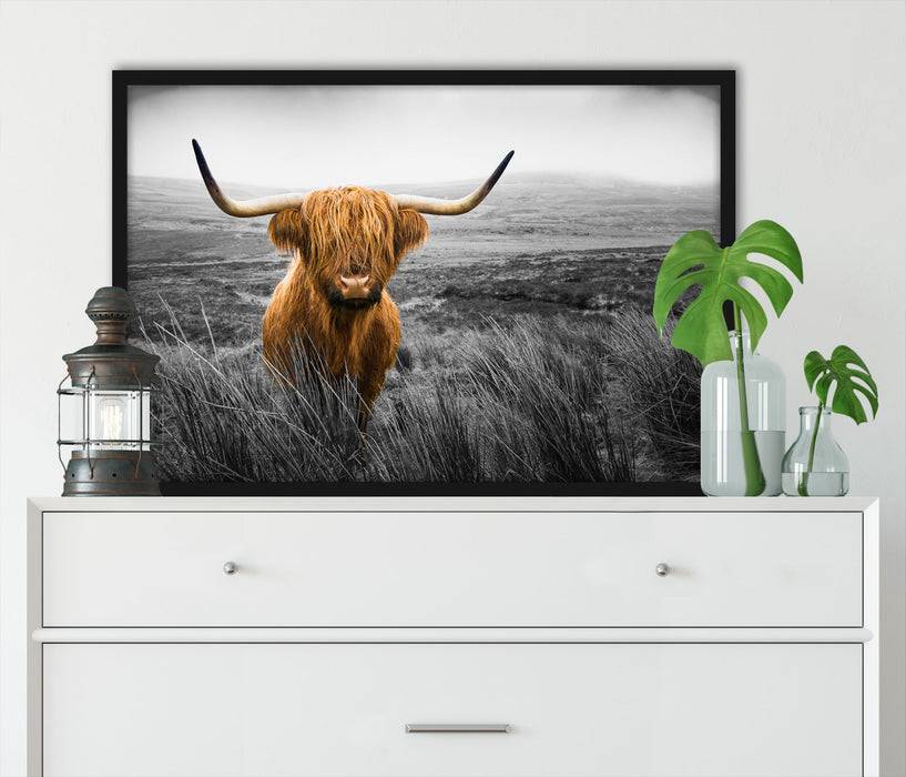 Pixxprint Highland Rind mit großen Hörnern Steppe B&W Detail, Poster mit Bilderrahmen Super Rabatt