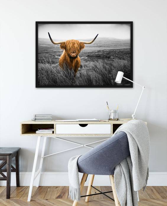 Pixxprint Highland Rind mit großen Hörnern Steppe B&W Detail, Poster mit Bilderrahmen Super Rabatt