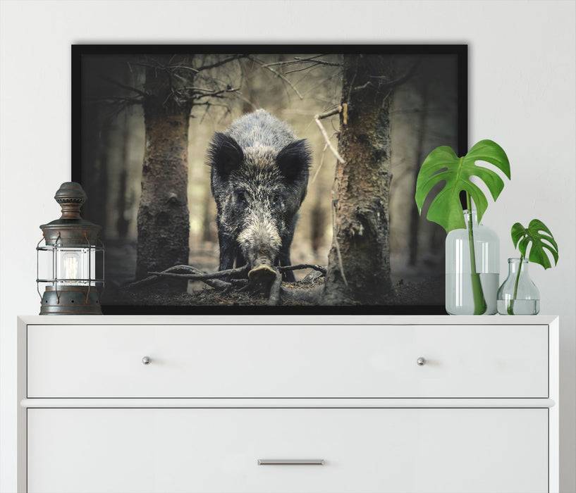 Pixxprint Nahaufnahme Wildschwein im Wald, Poster mit Bilderrahmen 50% Rabatt mit kostenlosem Versand
