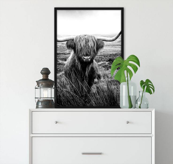 Pixxprint Highland Rind mit großen Hörnern Steppe, Monochrome, Poster mit Bilderrahmen Fabrikladen