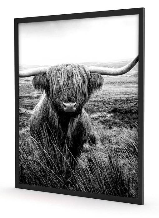 Pixxprint Highland Rind mit großen Hörnern Steppe, Monochrome, Poster mit Bilderrahmen Fabrikladen