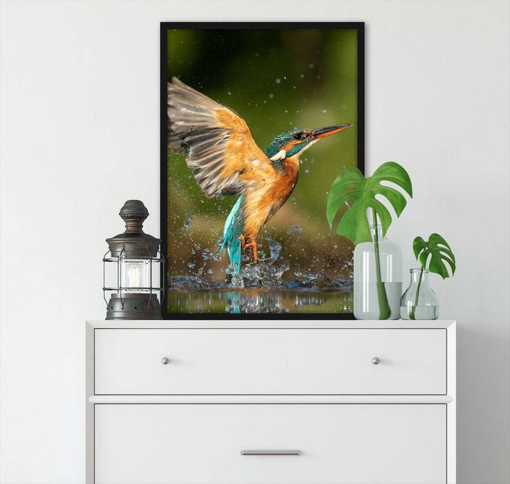 Pixxprint Eisvogel auf der Jagd nach Fischen, Poster mit Bilderrahmen Im Verkauf