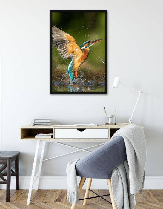 Pixxprint Eisvogel auf der Jagd nach Fischen, Poster mit Bilderrahmen Im Verkauf