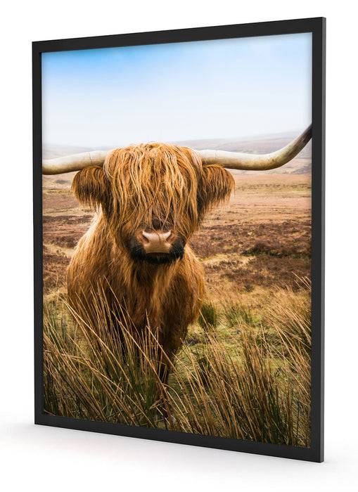 Pixxprint Highland Rind mit großen Hörnern Steppe, Poster mit Bilderrahmen zollfrei