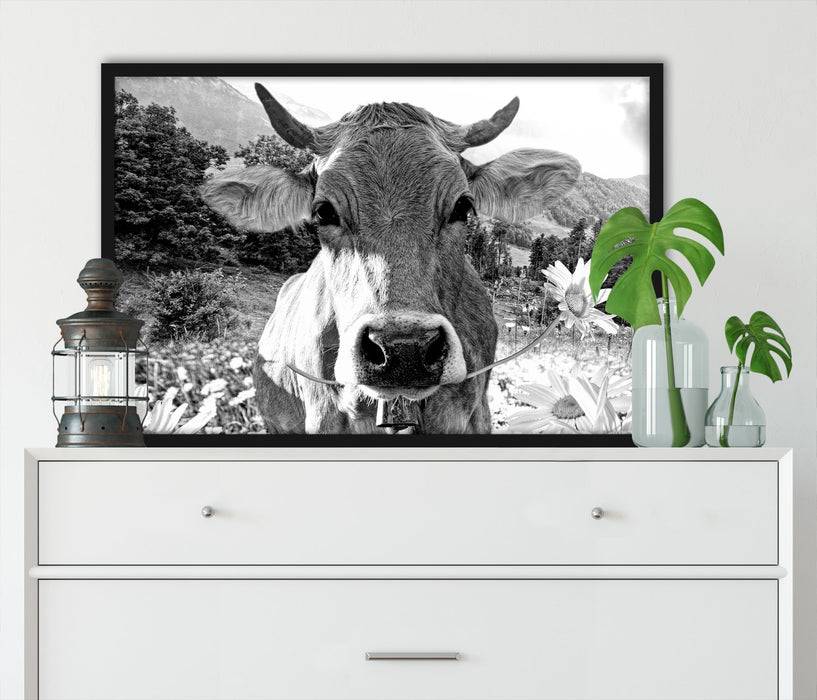 Pixxprint Nahaufnahme Kuh mit Margerite, Monochrome, Poster mit Bilderrahmen 50% Rabatt für begrenzte Zeit