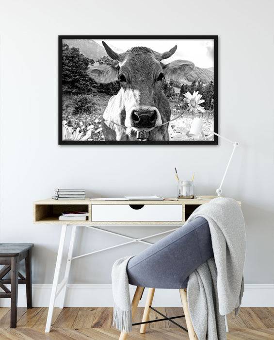 Pixxprint Nahaufnahme Kuh mit Margerite, Monochrome, Poster mit Bilderrahmen 50% Rabatt für begrenzte Zeit