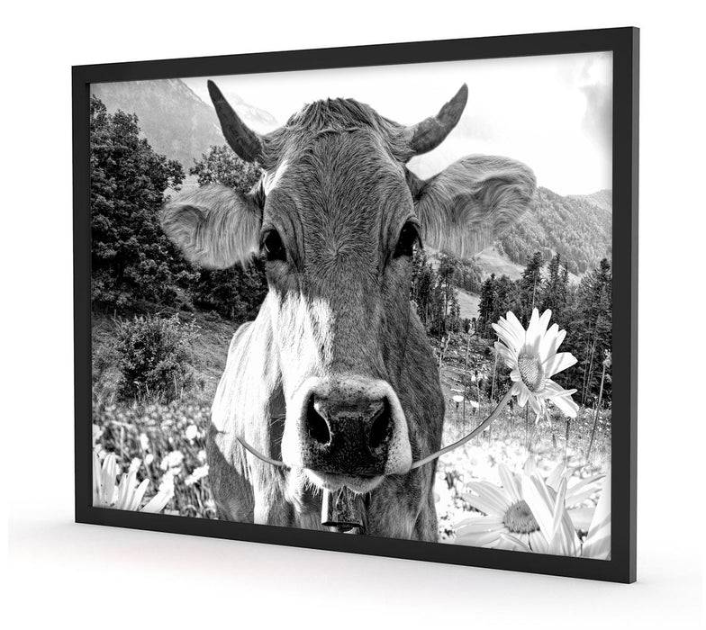 Pixxprint Nahaufnahme Kuh mit Margerite, Monochrome, Poster mit Bilderrahmen 50% Rabatt für begrenzte Zeit