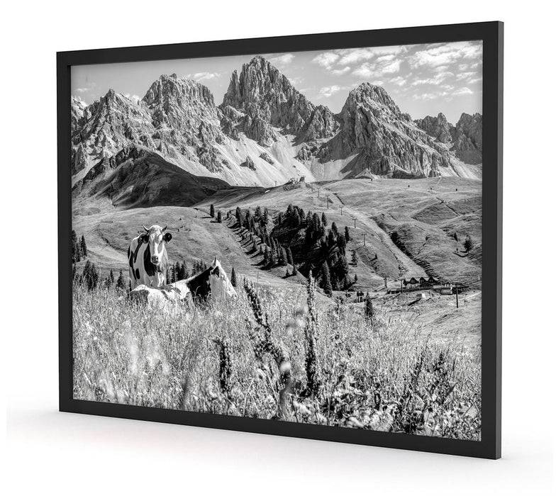 Pixxprint Alpenszene mit Kühen auf grüner Wiese, Monochrome, Poster mit Bilderrahmen Angebote