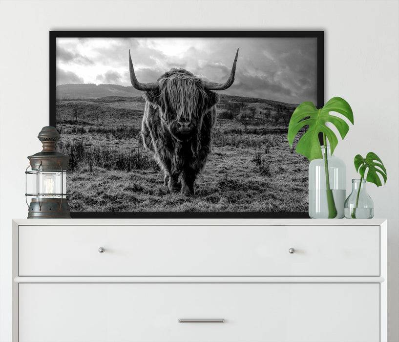 Pixxprint Highlandrind bei Sonnenuntergang, Monochrome, Poster mit Bilderrahmen Hotsell