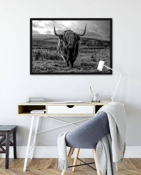 Pixxprint Highlandrind bei Sonnenuntergang, Monochrome, Poster mit Bilderrahmen Hotsell