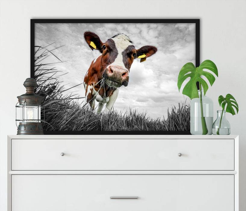 Pixxprint Nahaufnahme Grasende Kuh auf Weide B&W Detail, Poster mit Bilderrahmen im Angebot