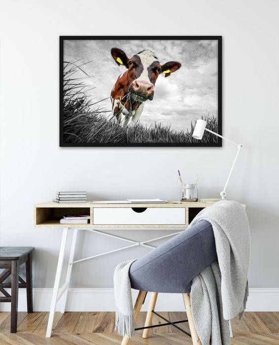 Pixxprint Nahaufnahme Grasende Kuh auf Weide B&W Detail, Poster mit Bilderrahmen im Angebot