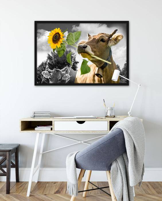 Pixxprint Nahaufnahme Kuh mit Sonnenblume im Maul B&W Detail, Poster mit Bilderrahmen Meist gekauft