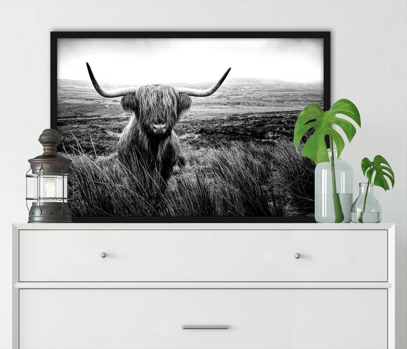 Pixxprint Highland Rind mit großen Hörnern Steppe, Monochrome, Poster mit Bilderrahmen Blitzverkäufe