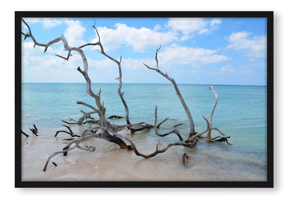 Pixxprint Strand mit Treibholz in Kuba, Poster mit Bilderrahmen
